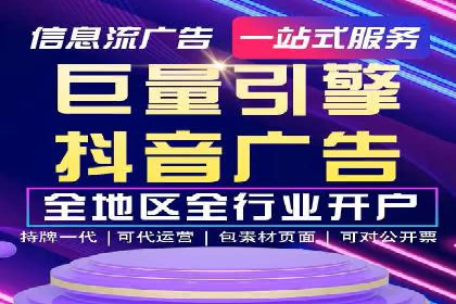 竞价广告与自然搜索的结合策略：XX网站的案例分析